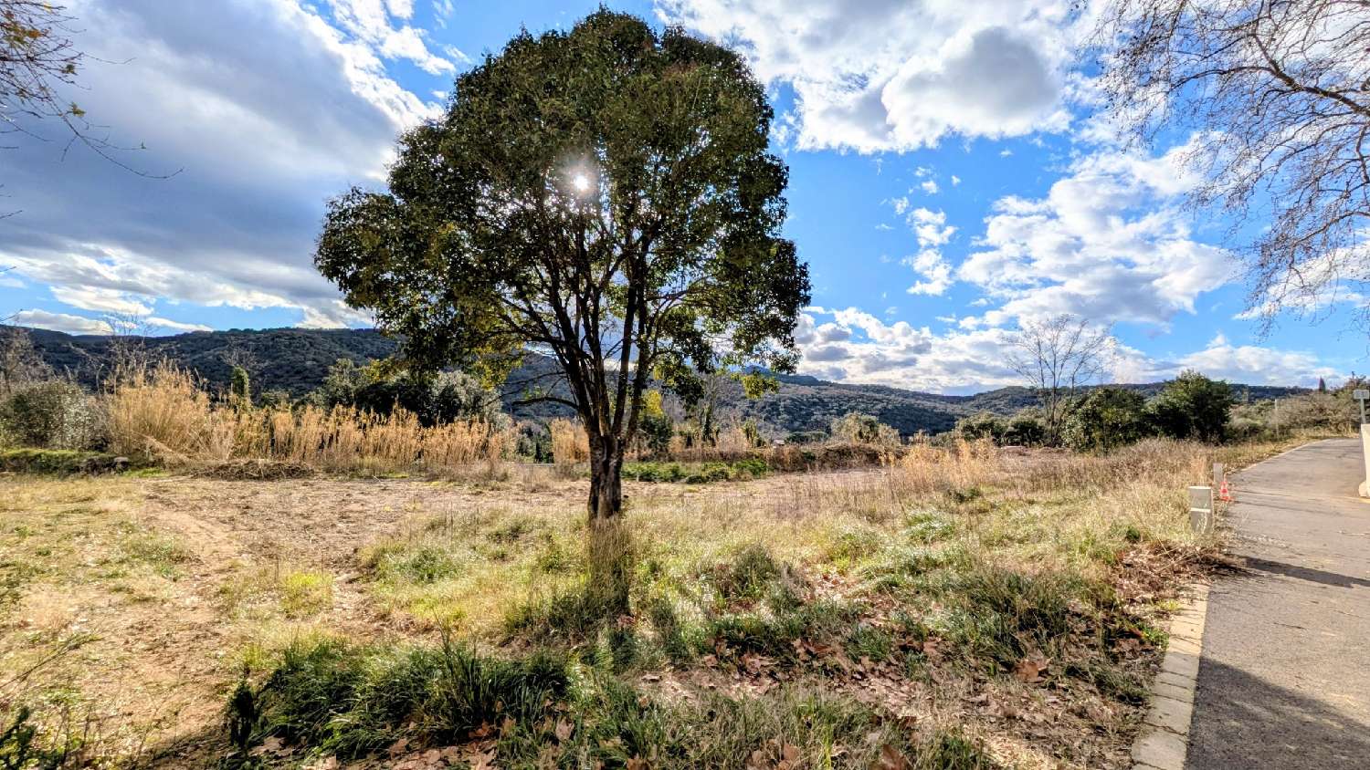  te koop terrein L'Albère Pyrénées-Orientales 8