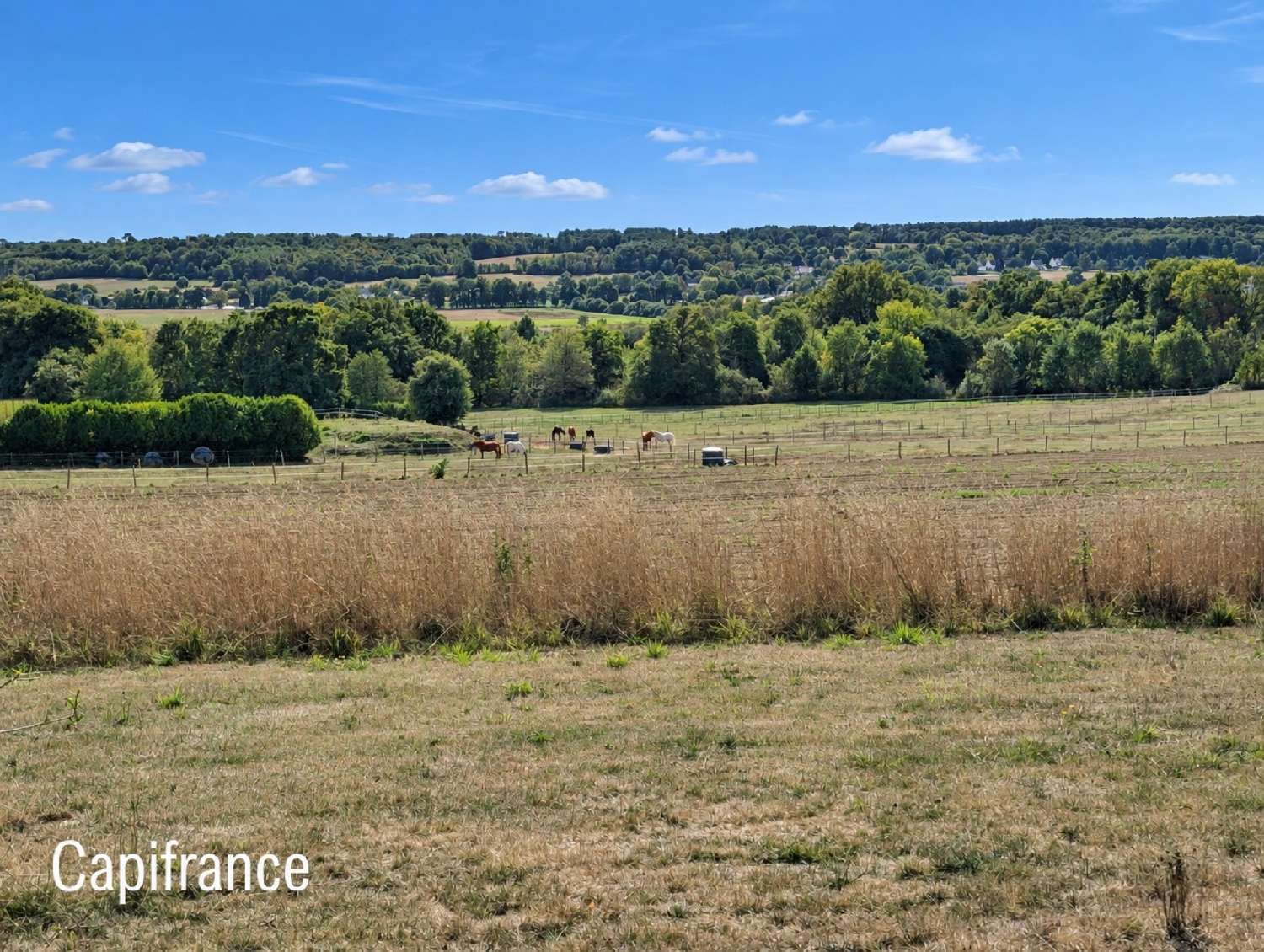 for sale terrain La Gacilly Morbihan 1