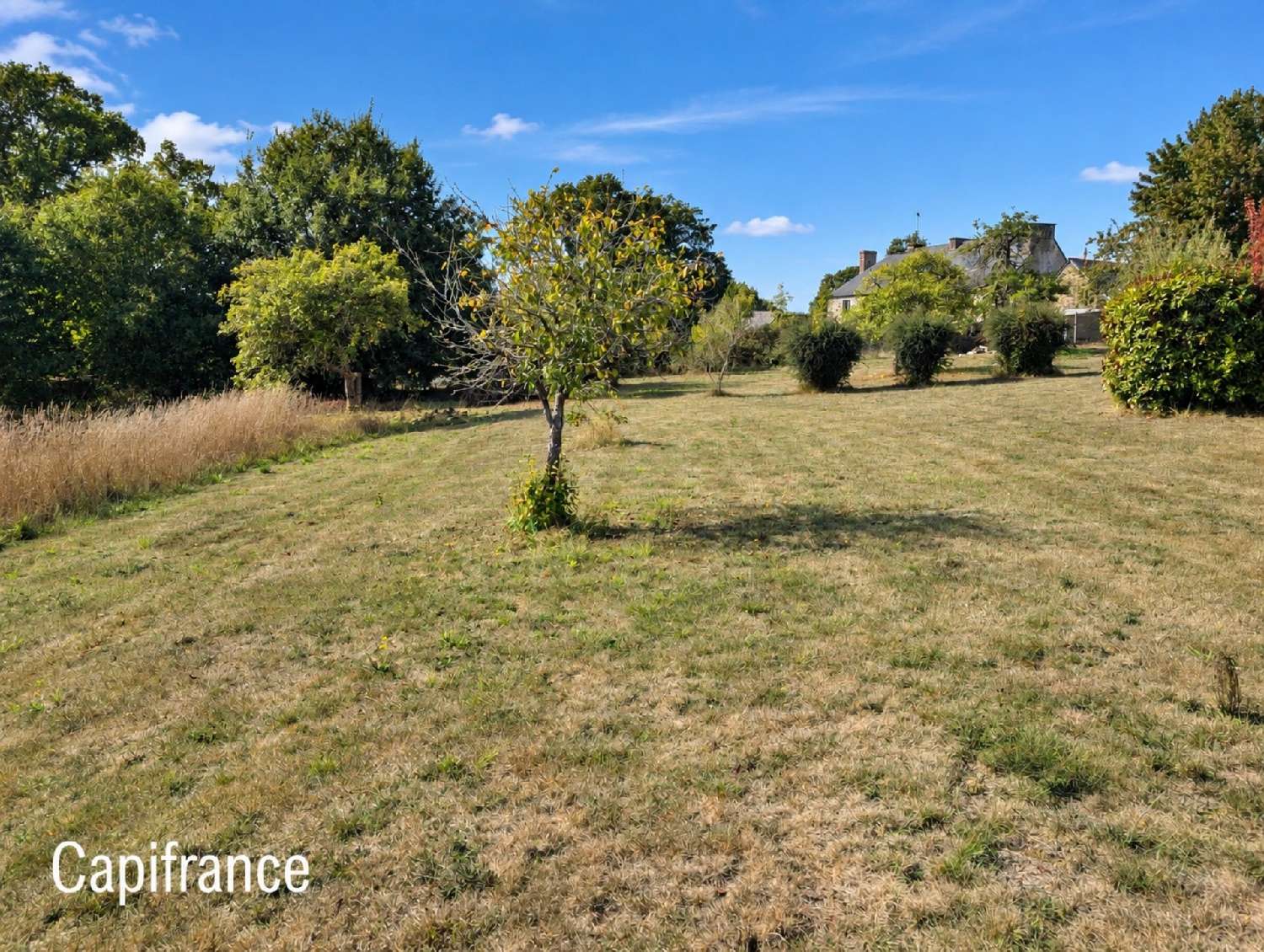 for sale terrain La Gacilly Morbihan 2