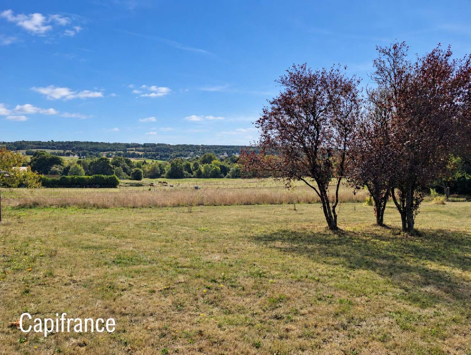 for sale terrain La Gacilly Morbihan 3