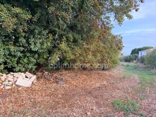 Le Bois-Plage-en-Ré Charente-Maritime terreno foto 7422449