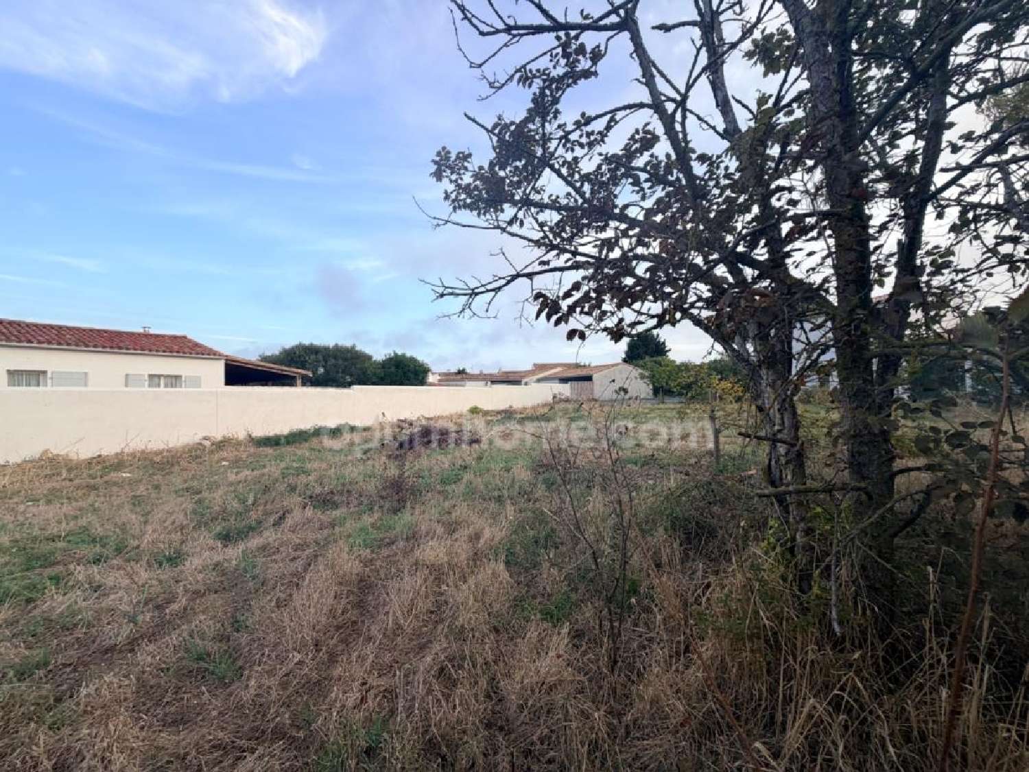 en venta terreno Le Bois-Plage-en-Ré Charente-Maritime 1