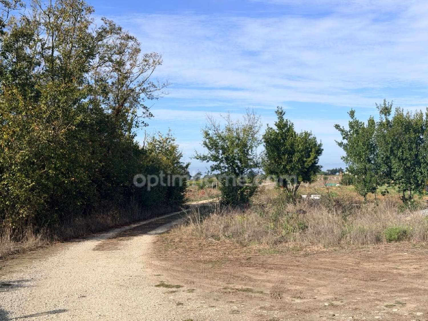 kaufen Grundstück Le Bois-Plage-en-Ré Charente-Maritime 2