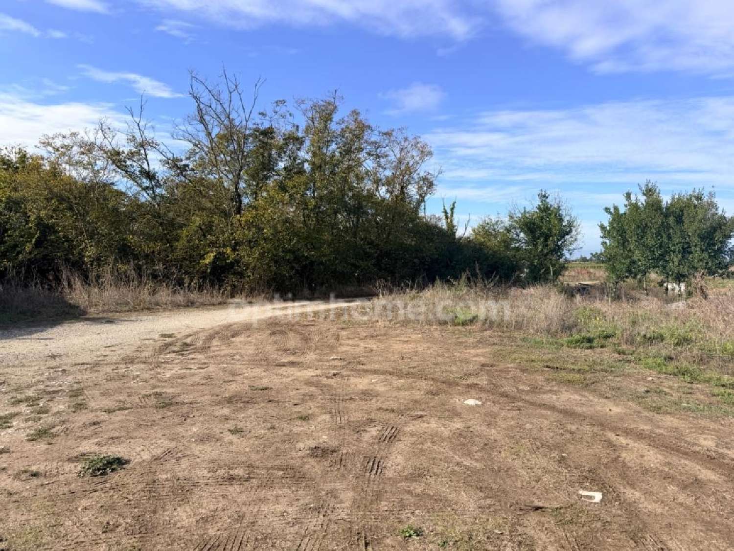  kaufen Grundstück Le Bois-Plage-en-Ré Charente-Maritime 4
