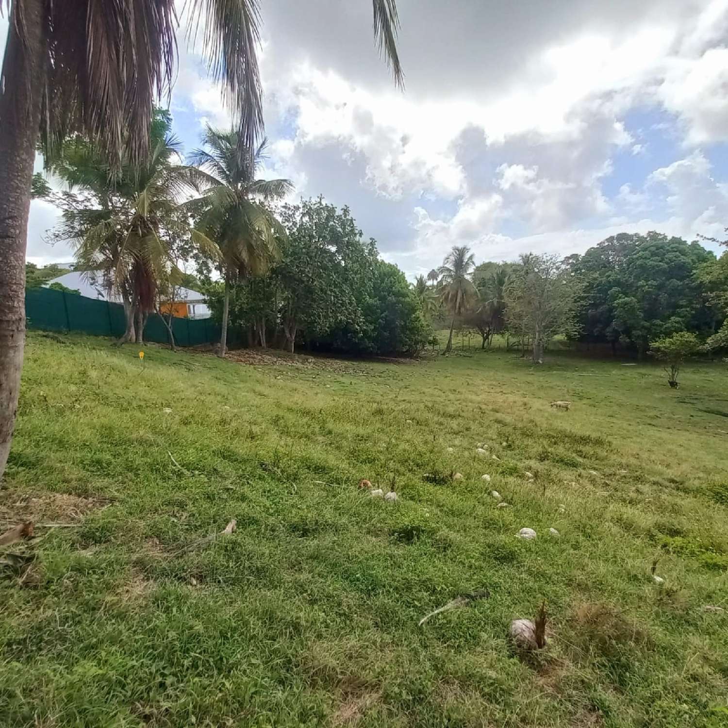 en venta terreno Le Gosier Guadeloupe 1