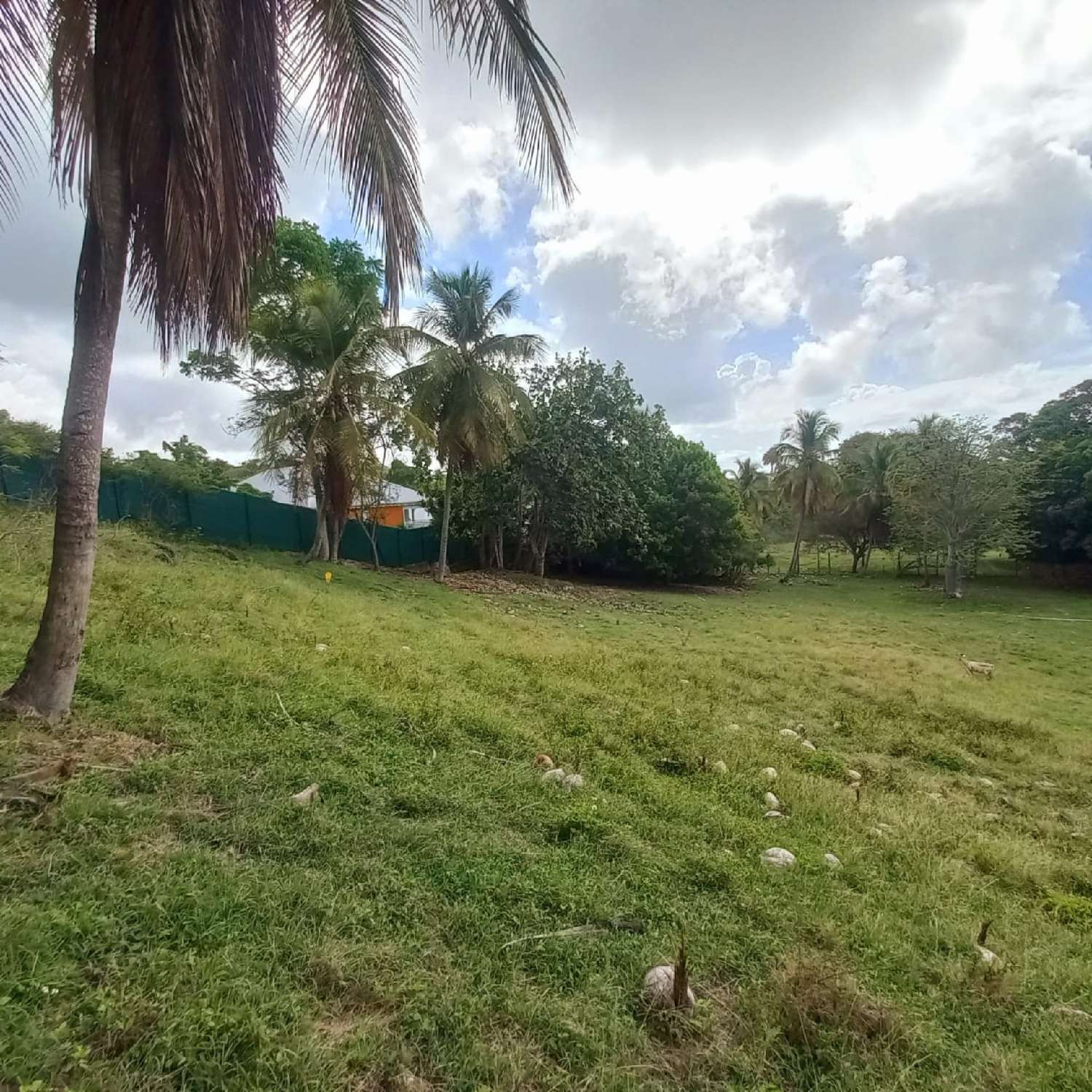 en venta terreno Le Gosier Guadeloupe 2