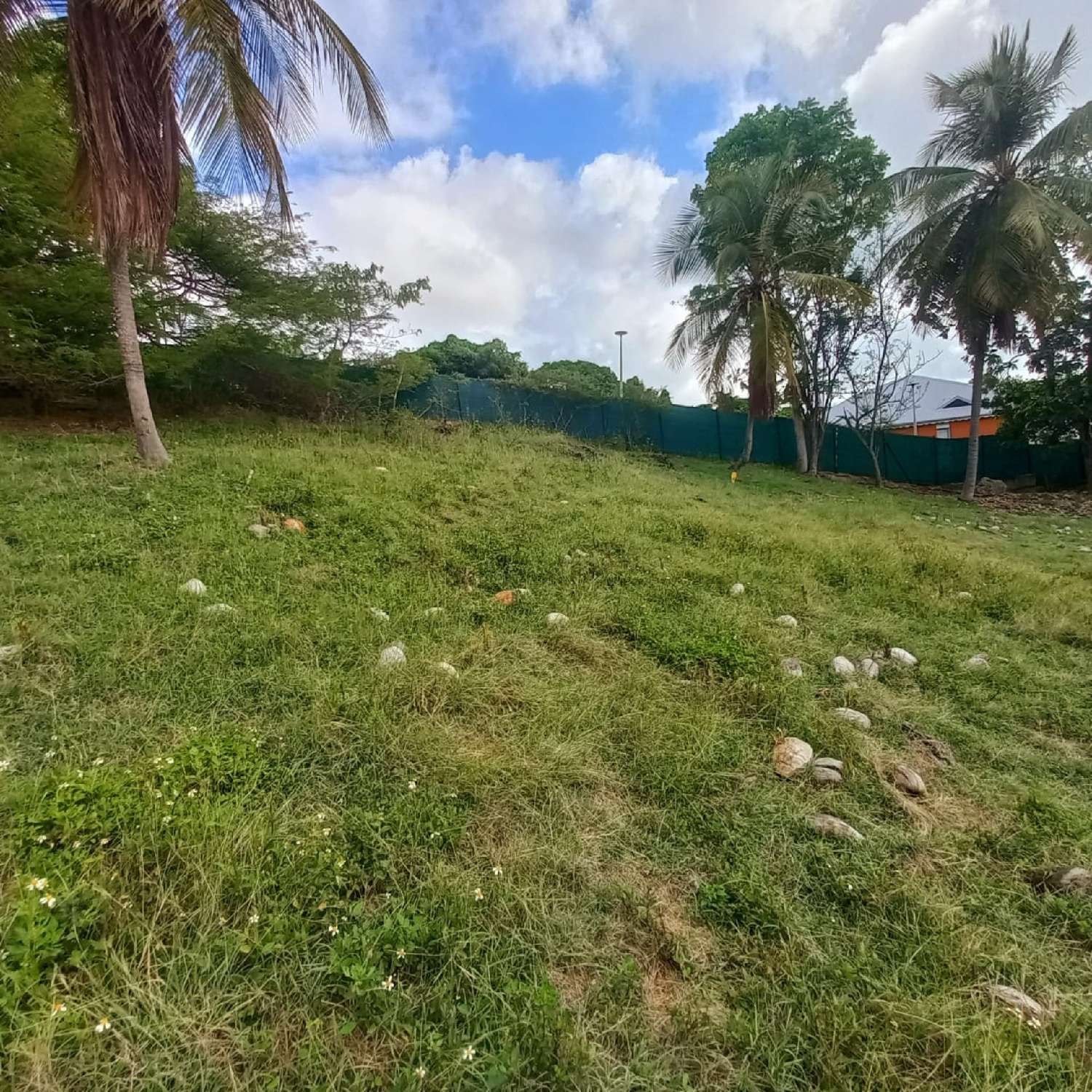 en venta terreno Le Gosier Guadeloupe 4
