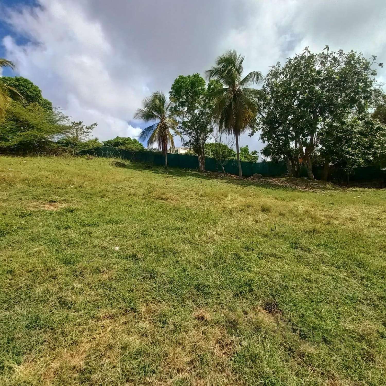 en venta terreno Le Gosier Guadeloupe 7