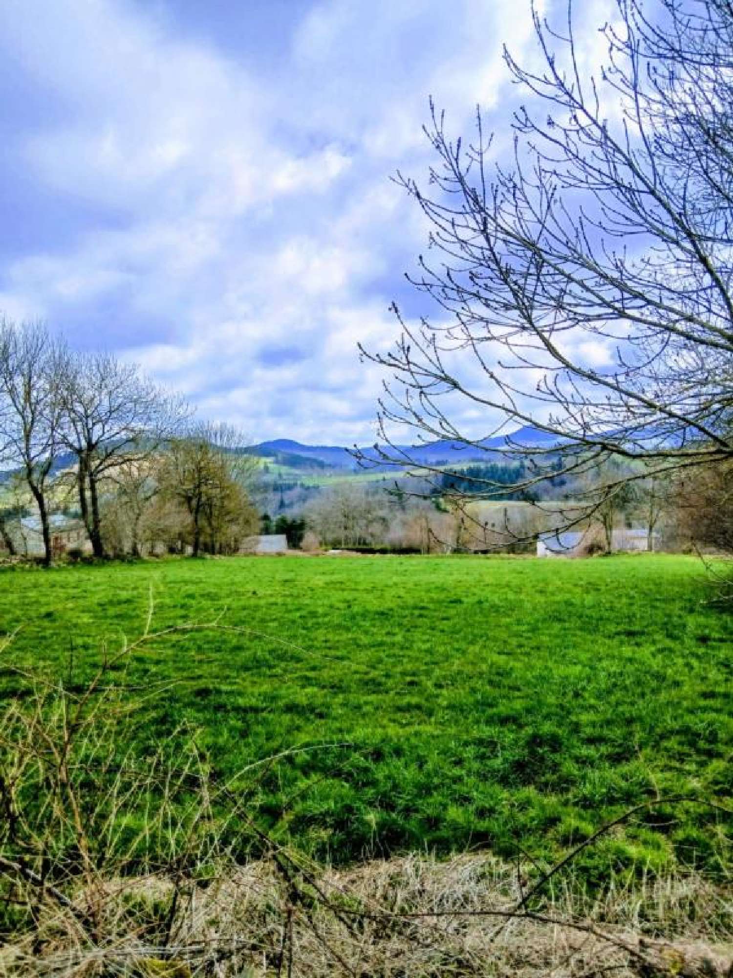 à vendre terrain Le Pertuis Haute-Loire 2
