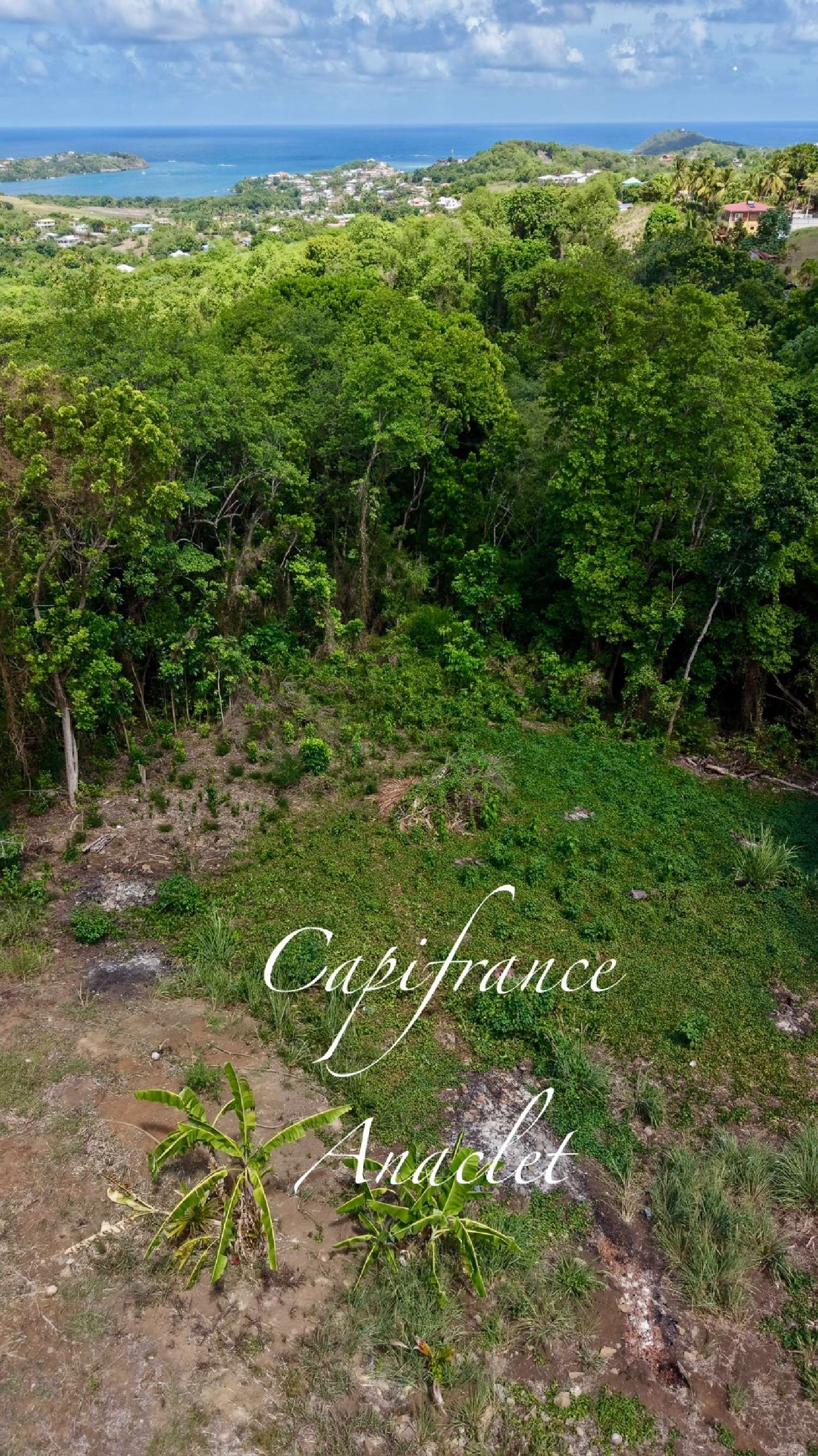 te koop terrein Le Vauclin Martinique 1