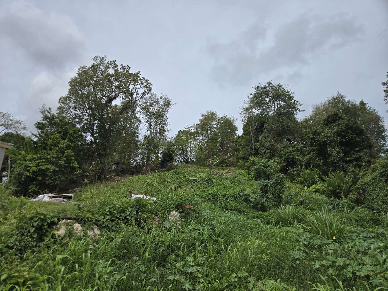 à vendre terrain Les Abymes Guadeloupe 2