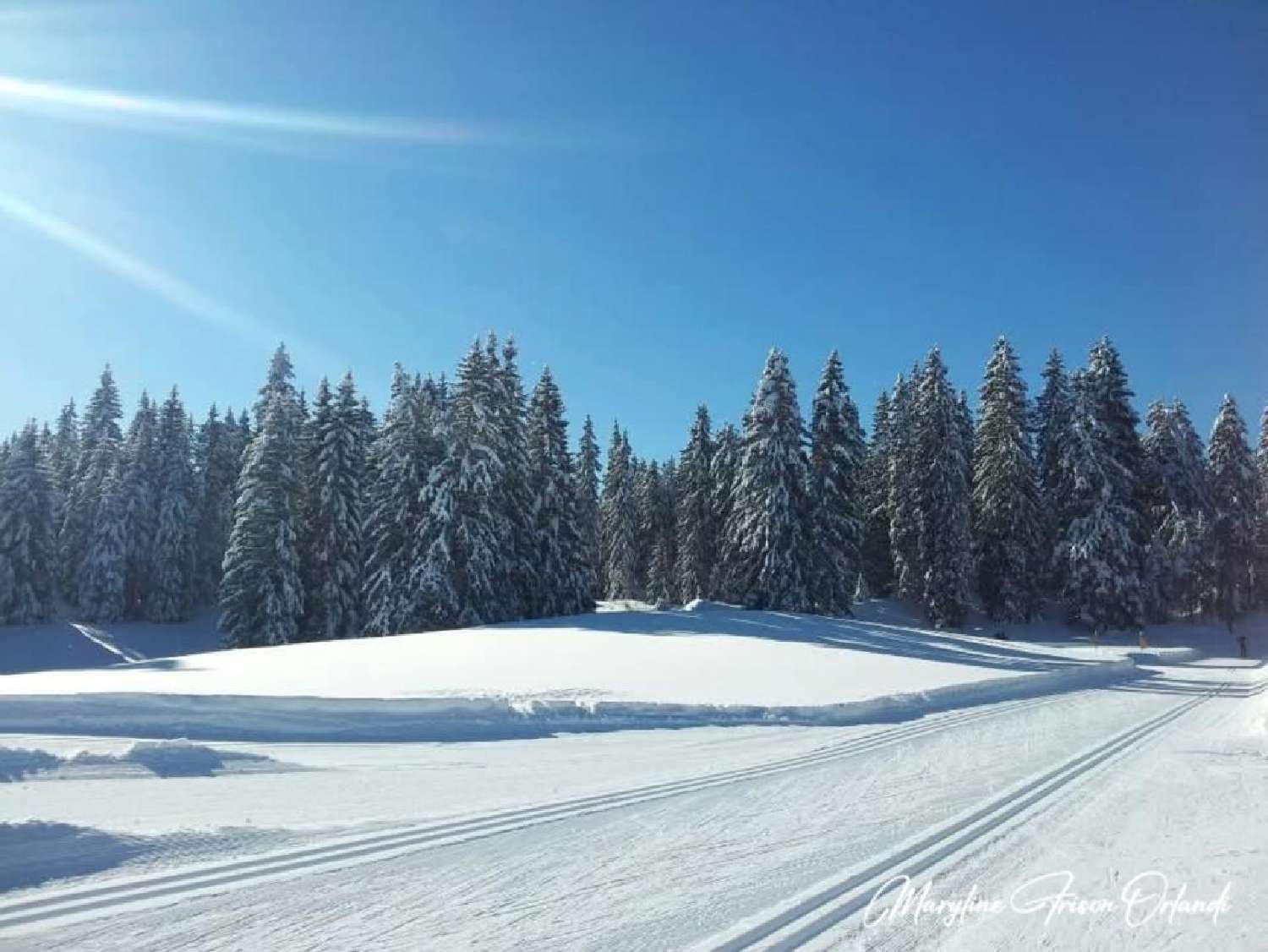  kaufen Grundstück Les Déserts Savoie 6