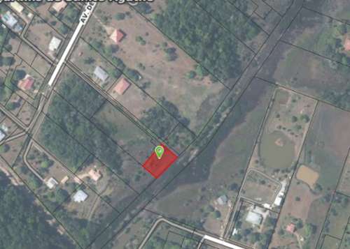 Macouria Guyane terrain foto 7425036