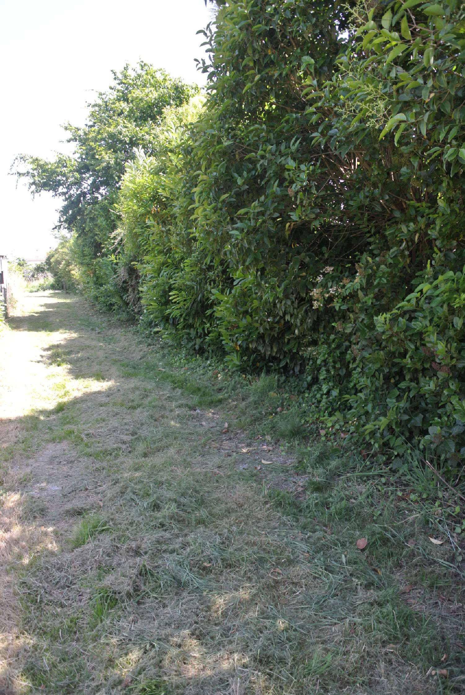 à vendre terrain Marmande Lot-et-Garonne 3