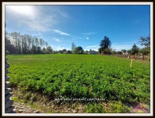 Momères Hautes-Pyrénées Grundstück Bild 7428640