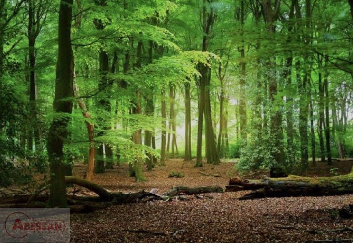 for sale terrain Monoblet Gard 2