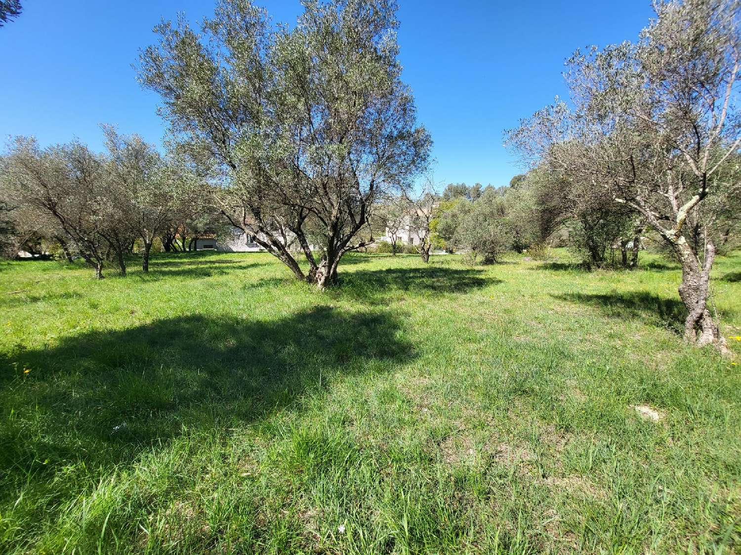 te koop terrein Montferrier-sur-Lez Hérault 1