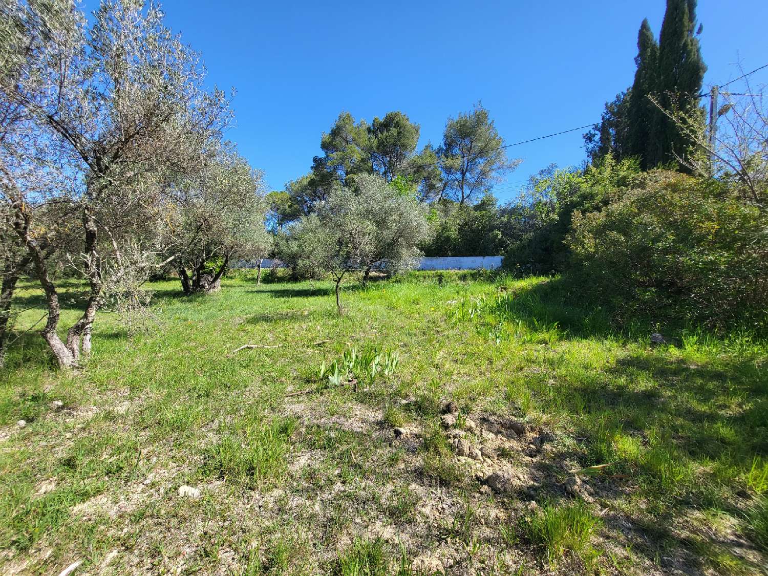  à vendre terrain Montferrier-sur-Lez Hérault 2