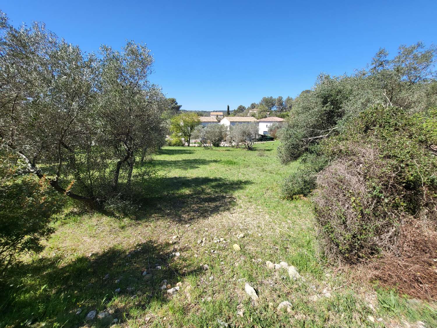  à vendre terrain Montferrier-sur-Lez Hérault 3