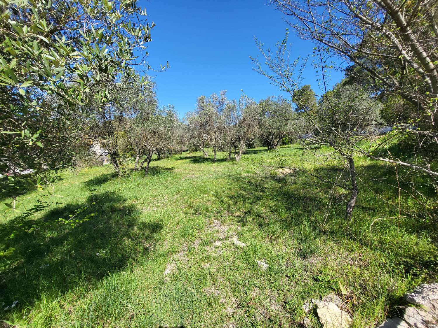  à vendre terrain Montferrier-sur-Lez Hérault 4