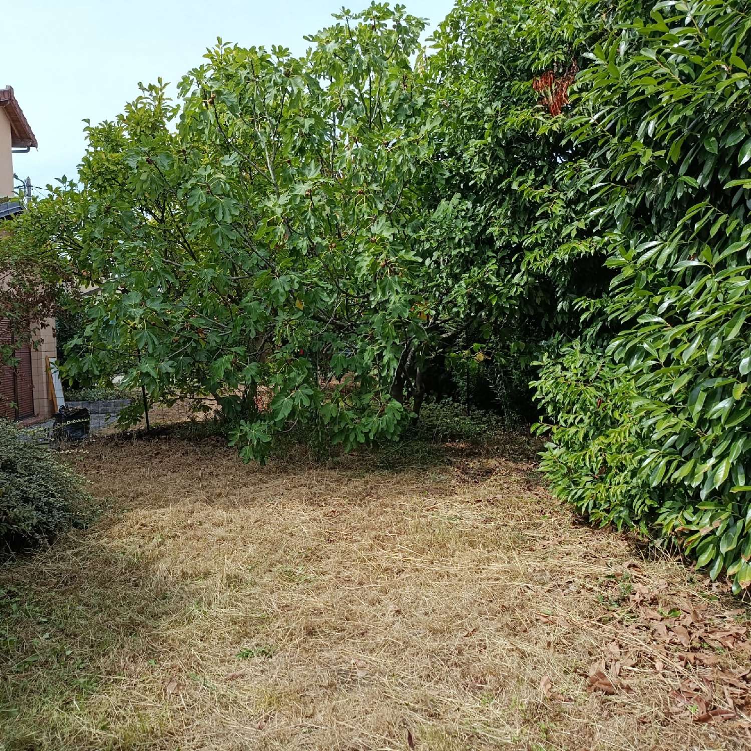  à vendre terrain Montreuil Seine-Saint-Denis 2
