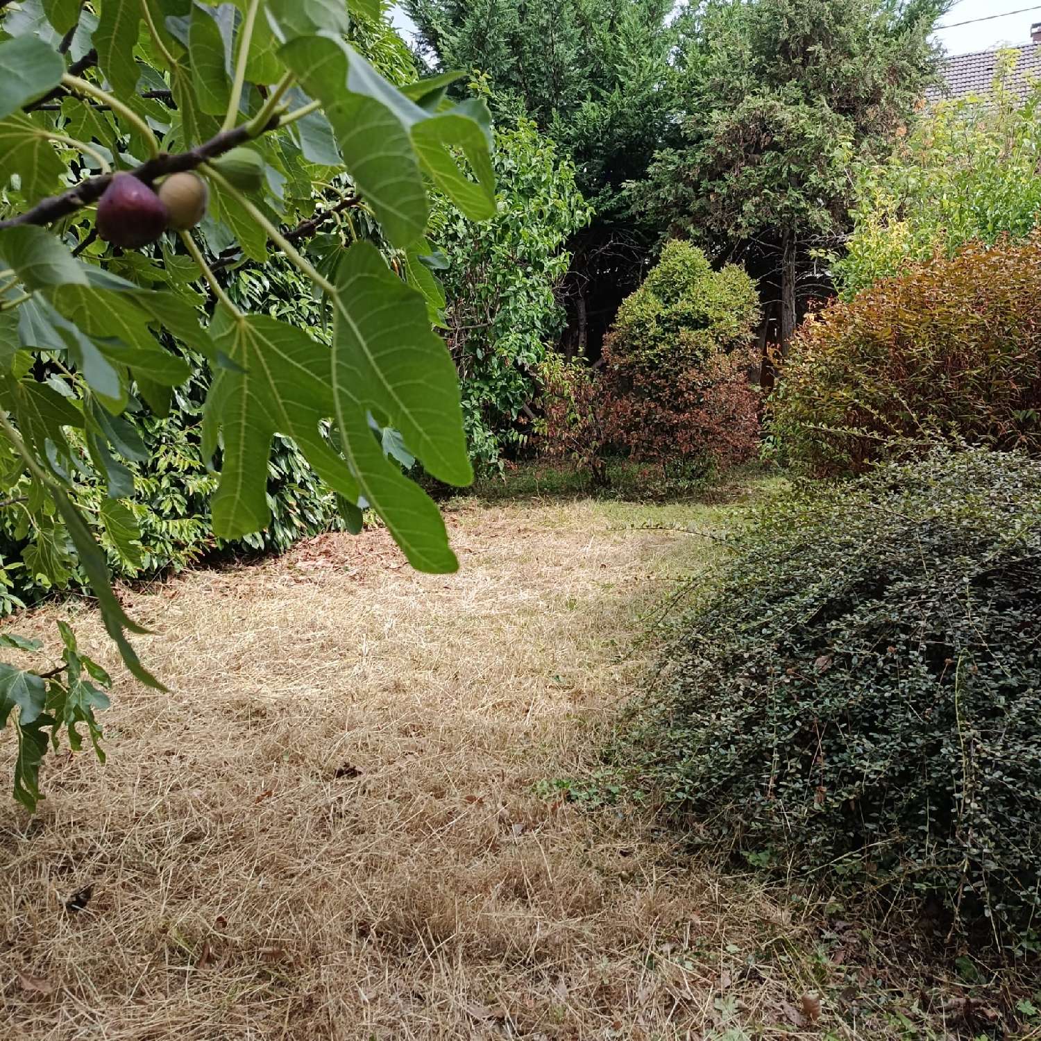  à vendre terrain Montreuil Seine-Saint-Denis 3