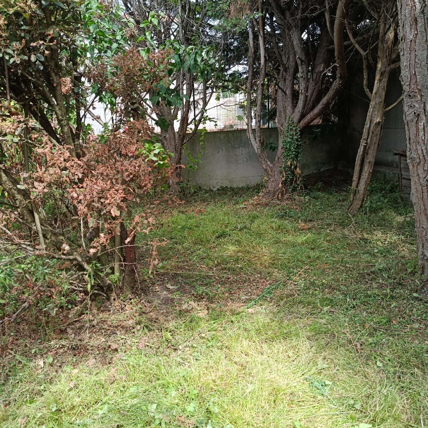  à vendre terrain Montreuil Seine-Saint-Denis 4