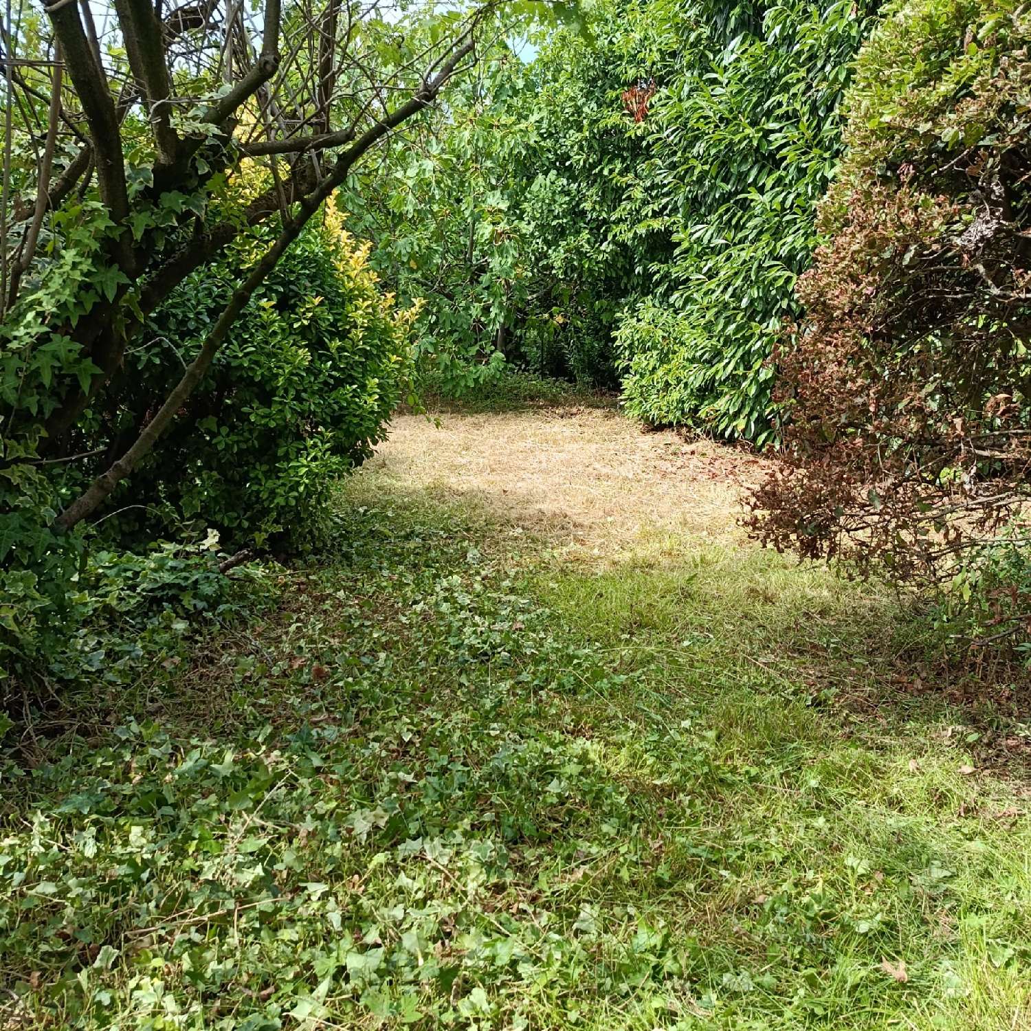  à vendre terrain Montreuil Seine-Saint-Denis 5