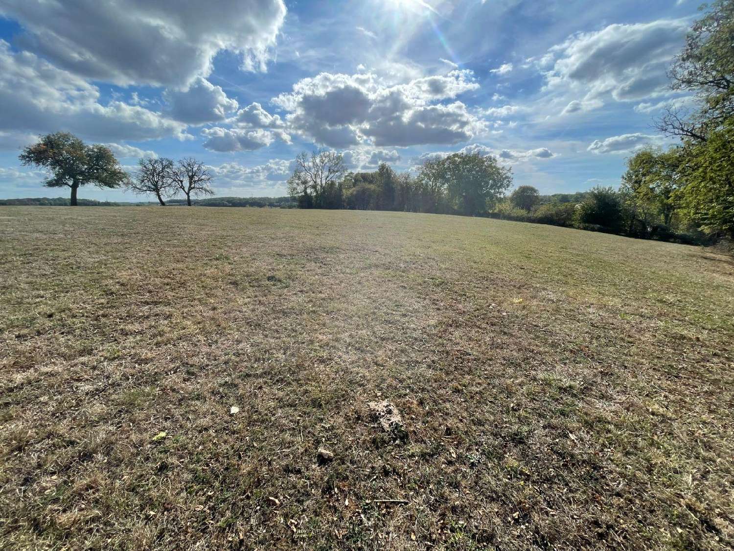  for sale terrain Neuvizy Ardennes 4