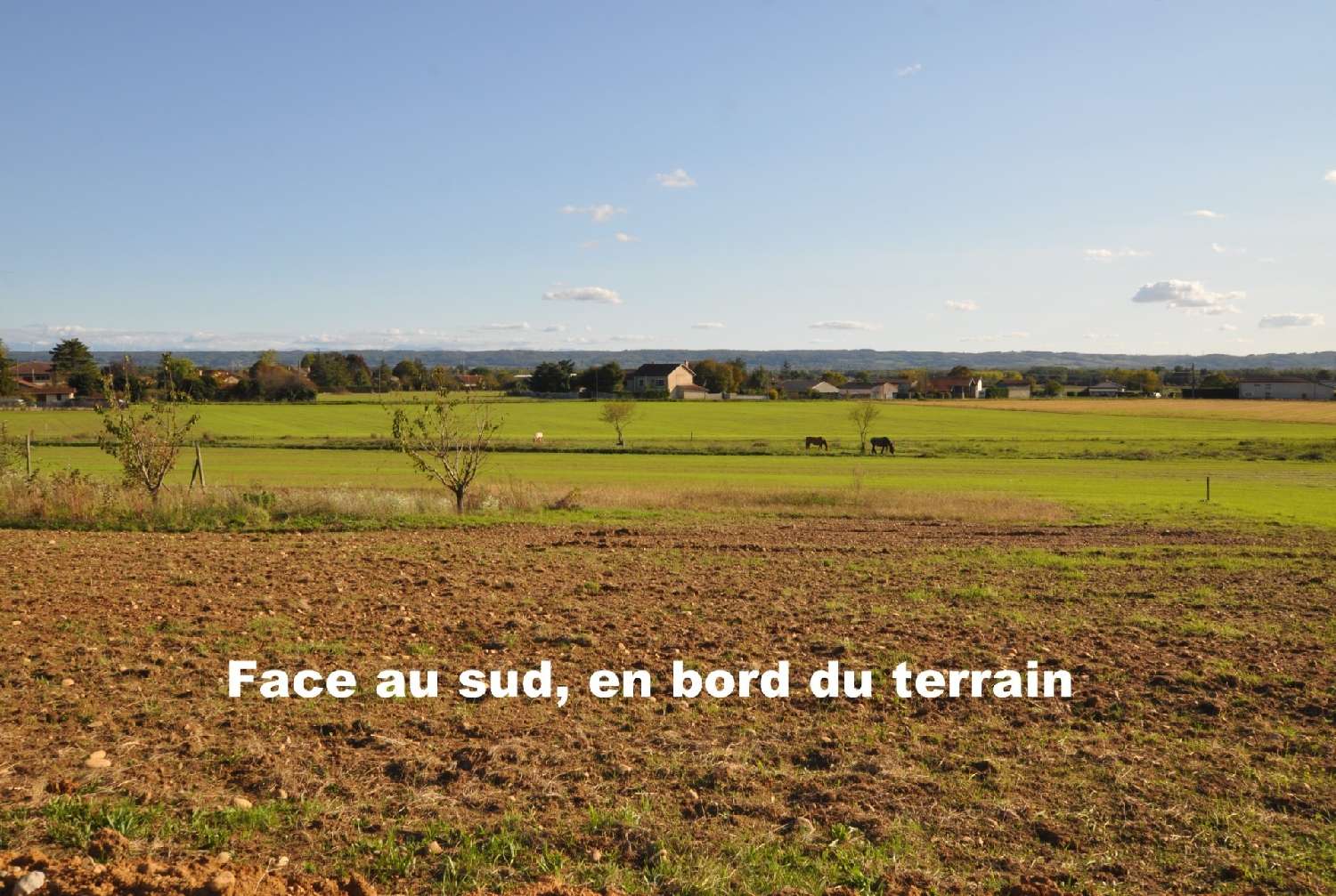  à vendre terrain Pact Isère 4