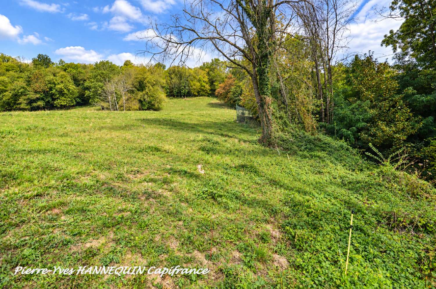for sale terrain Pallud Savoie 7