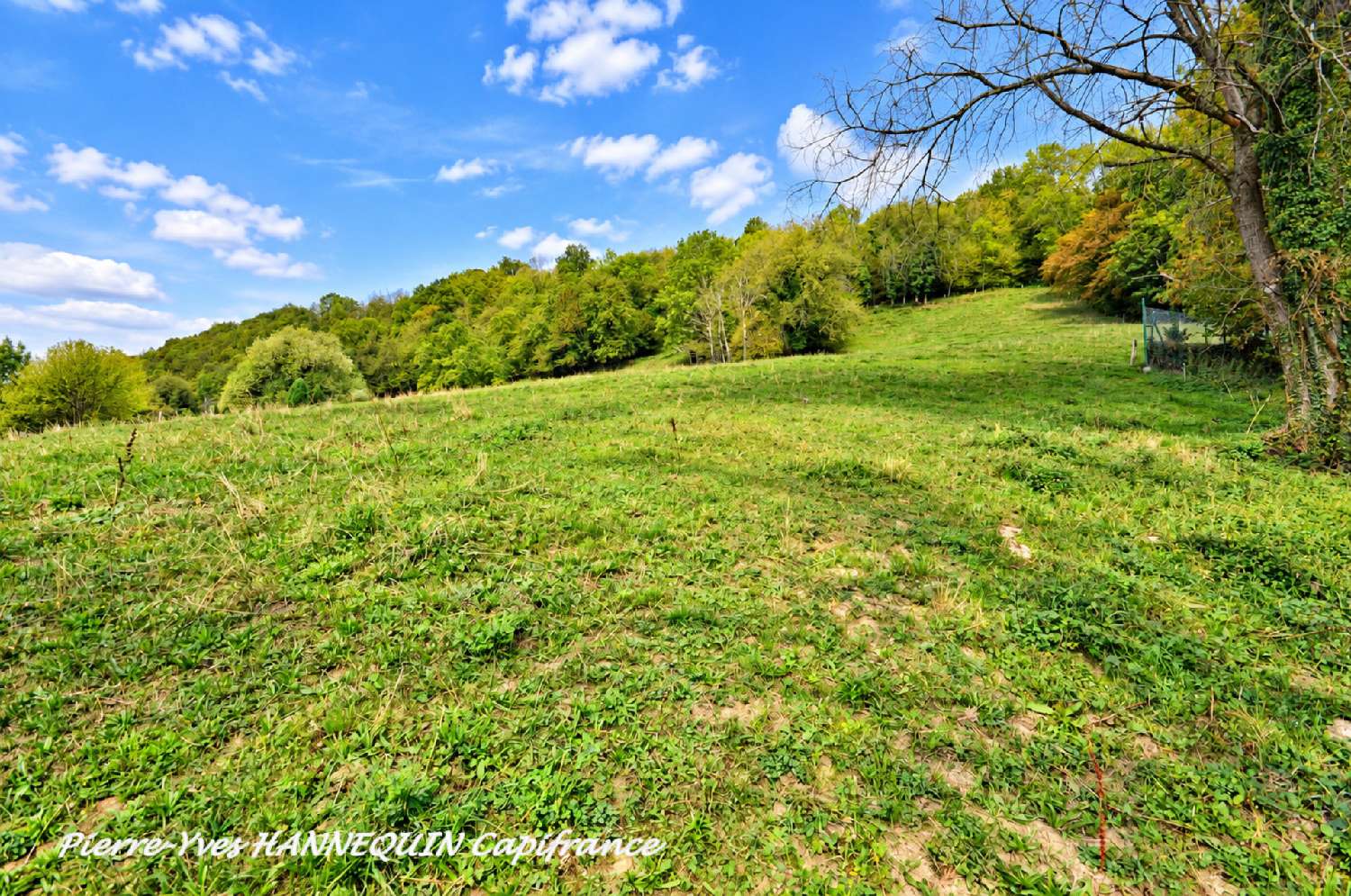 for sale terrain Pallud Savoie 8