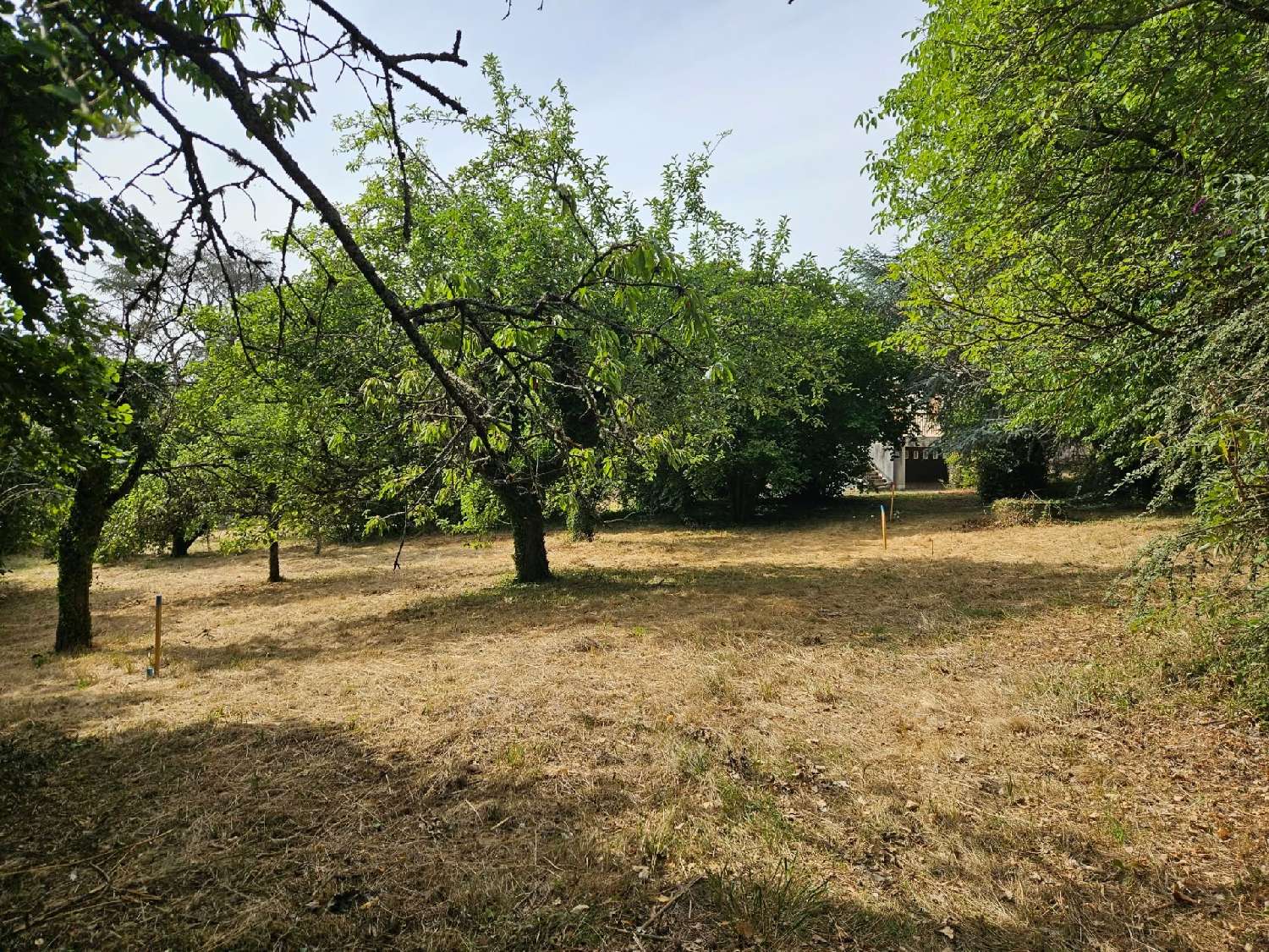 à vendre terrain Panissières Loire 2