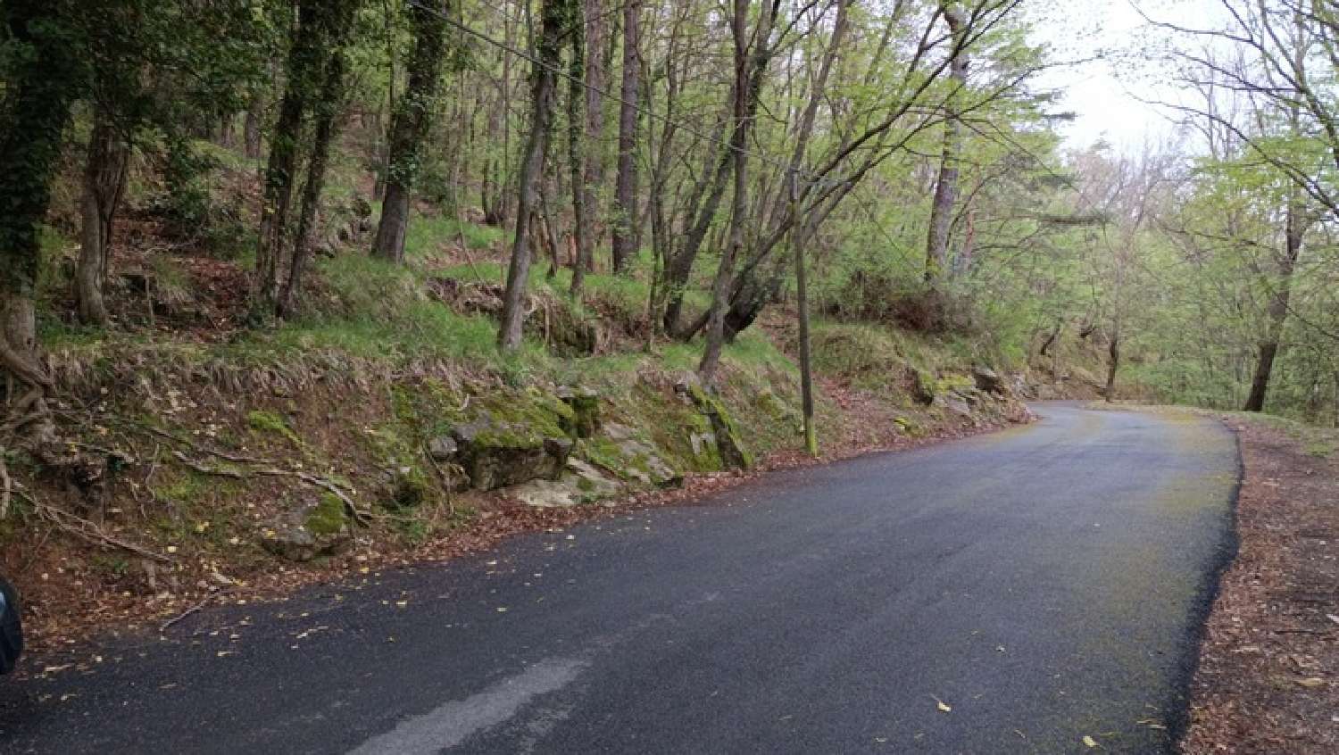 for sale terrain Peille Alpes-Maritimes 1