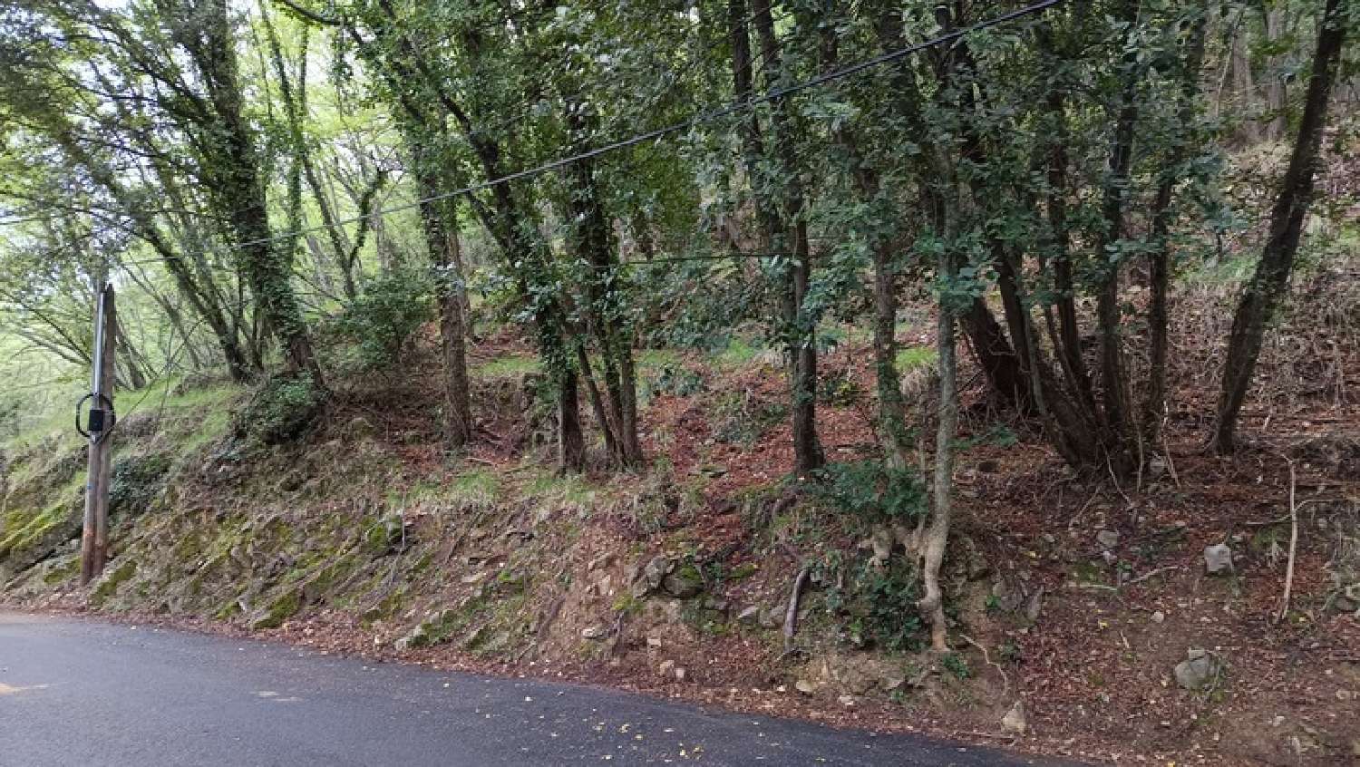 for sale terrain Peille Alpes-Maritimes 2