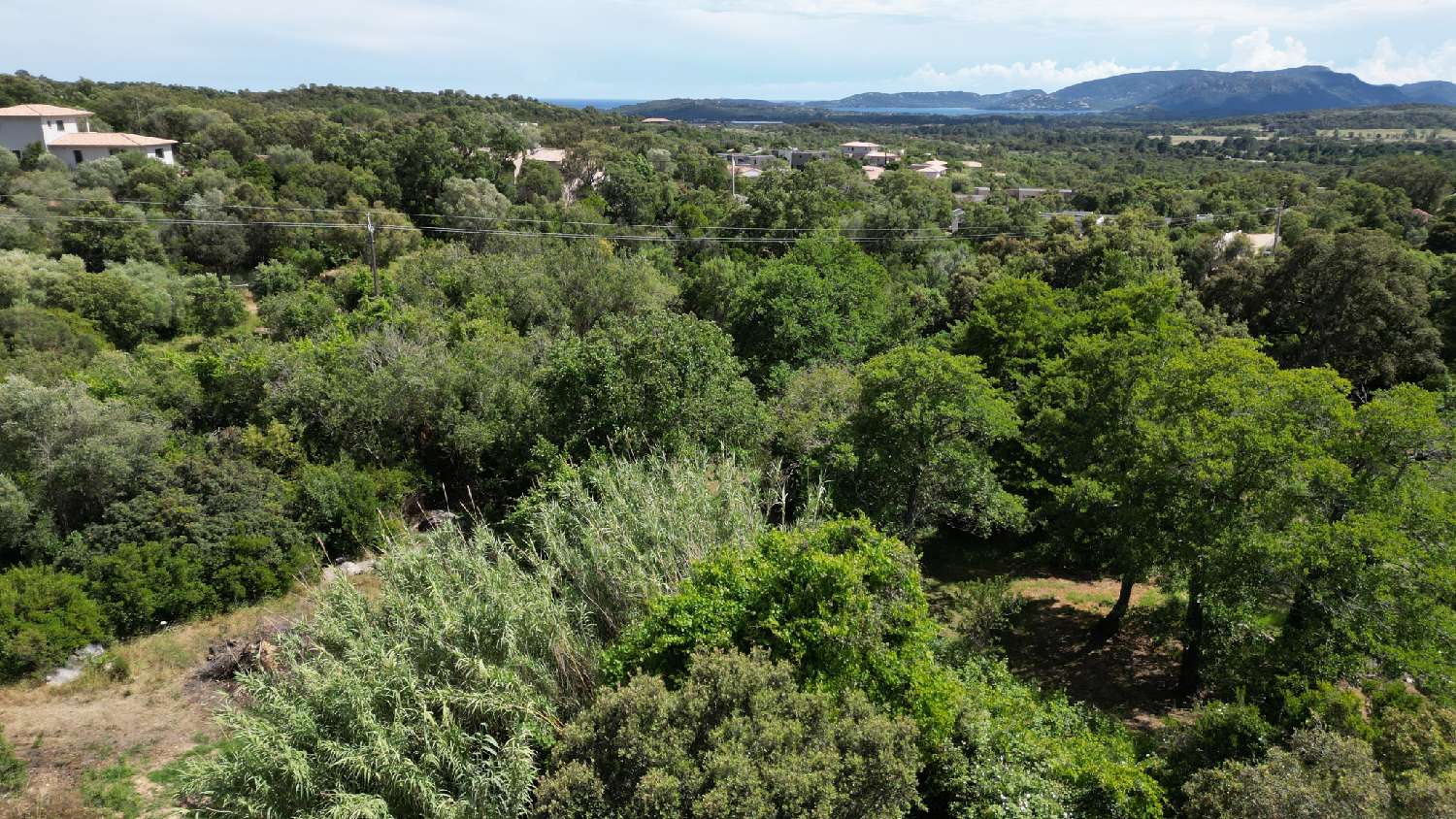 for sale terrain Porto-Vecchio Corse-du-Sud 8
