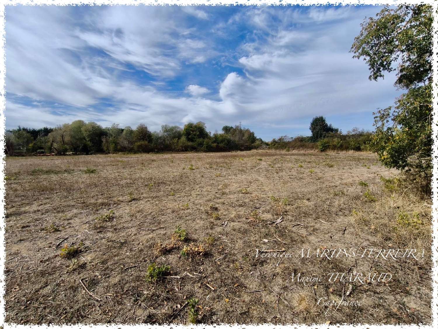  à vendre terrain Preuilly Cher 3
