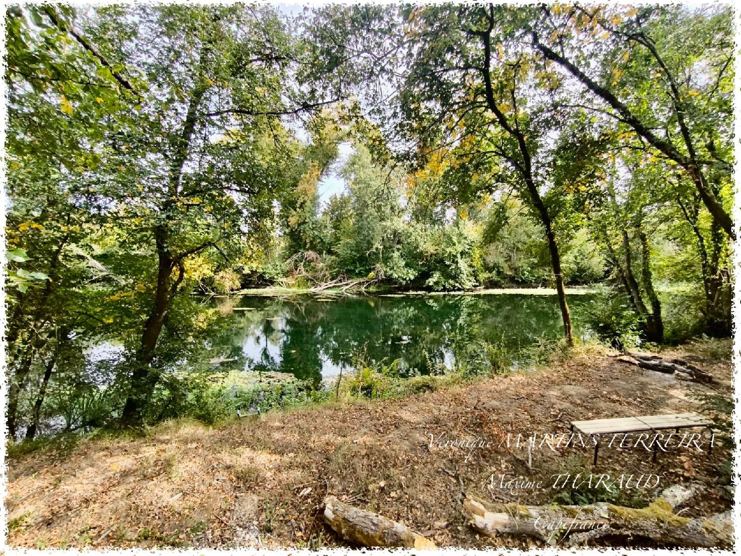  à vendre terrain Preuilly Cher 4