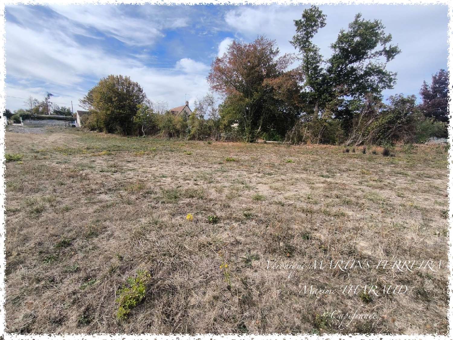  à vendre terrain Preuilly Cher 1