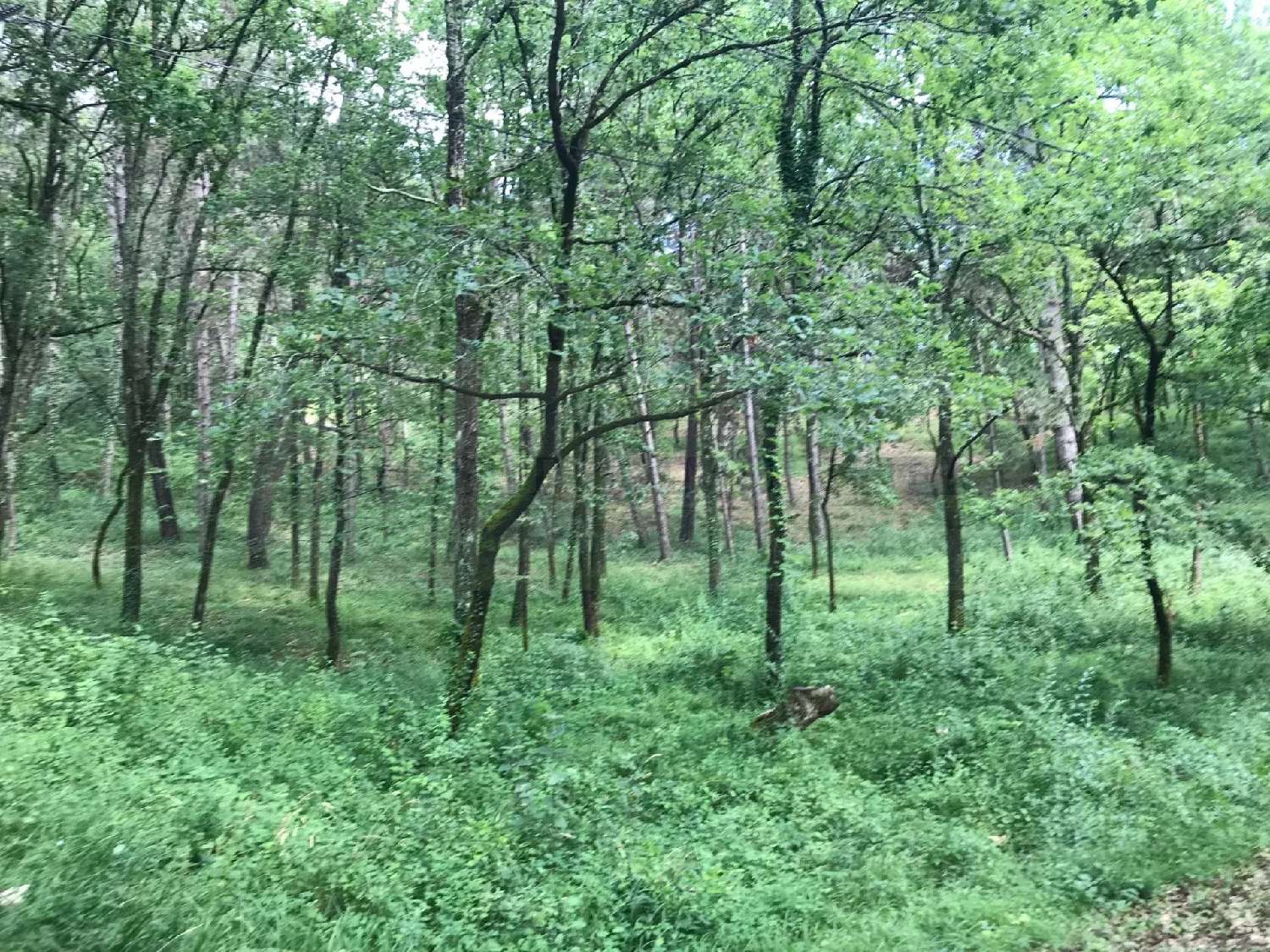 en venta terreno Puy-l'Évêque Lot 2