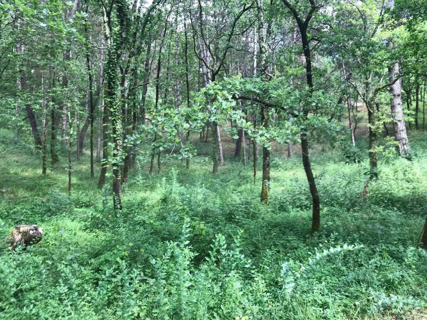 en venta terreno Puy-l'Évêque Lot 3