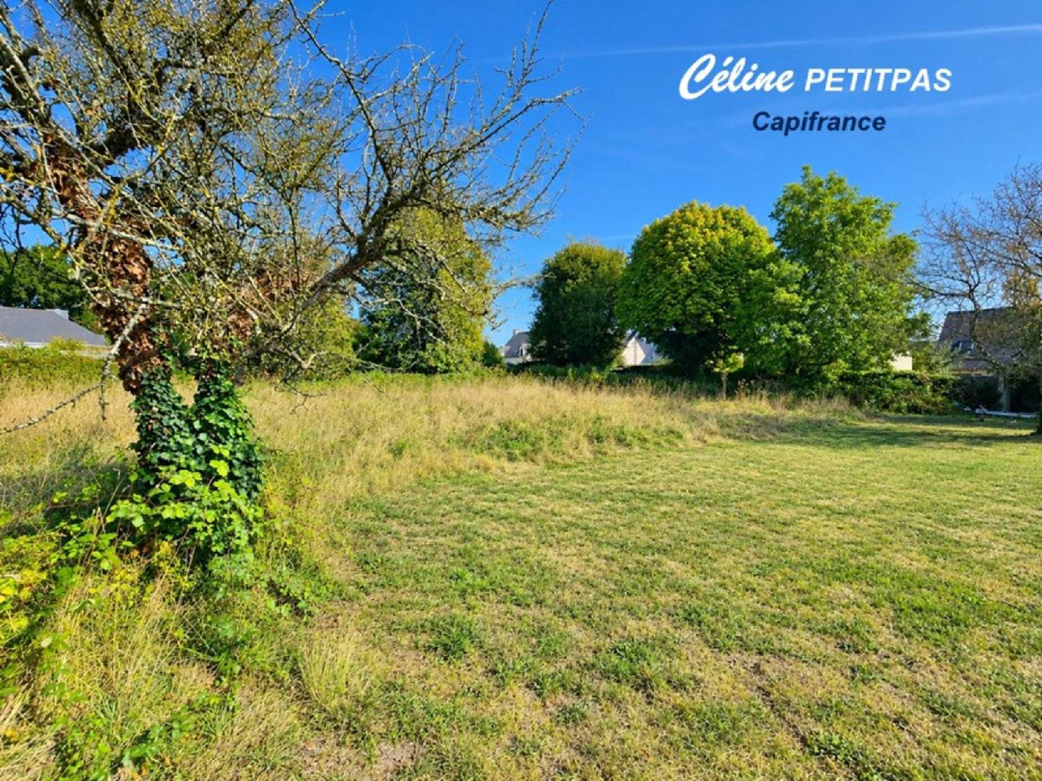 for sale terrain Quédillac Ille-et-Vilaine 7