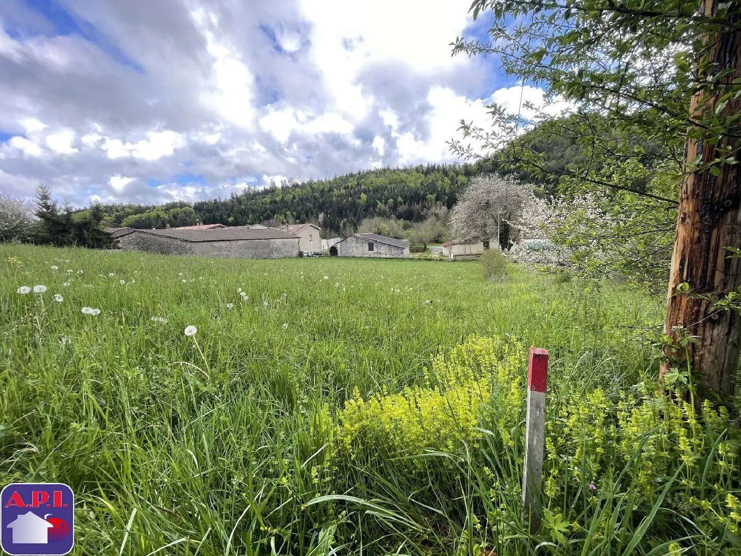 en venta terreno Roquefeuil Aude 1