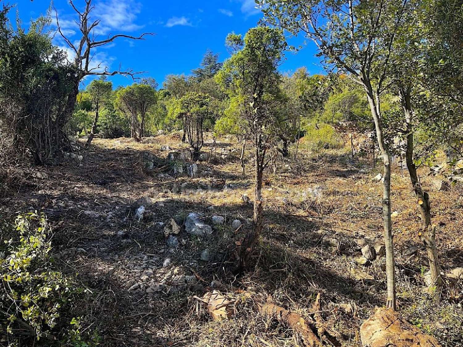 en venta terreno Rouffiac-des-Corbières Aude 4
