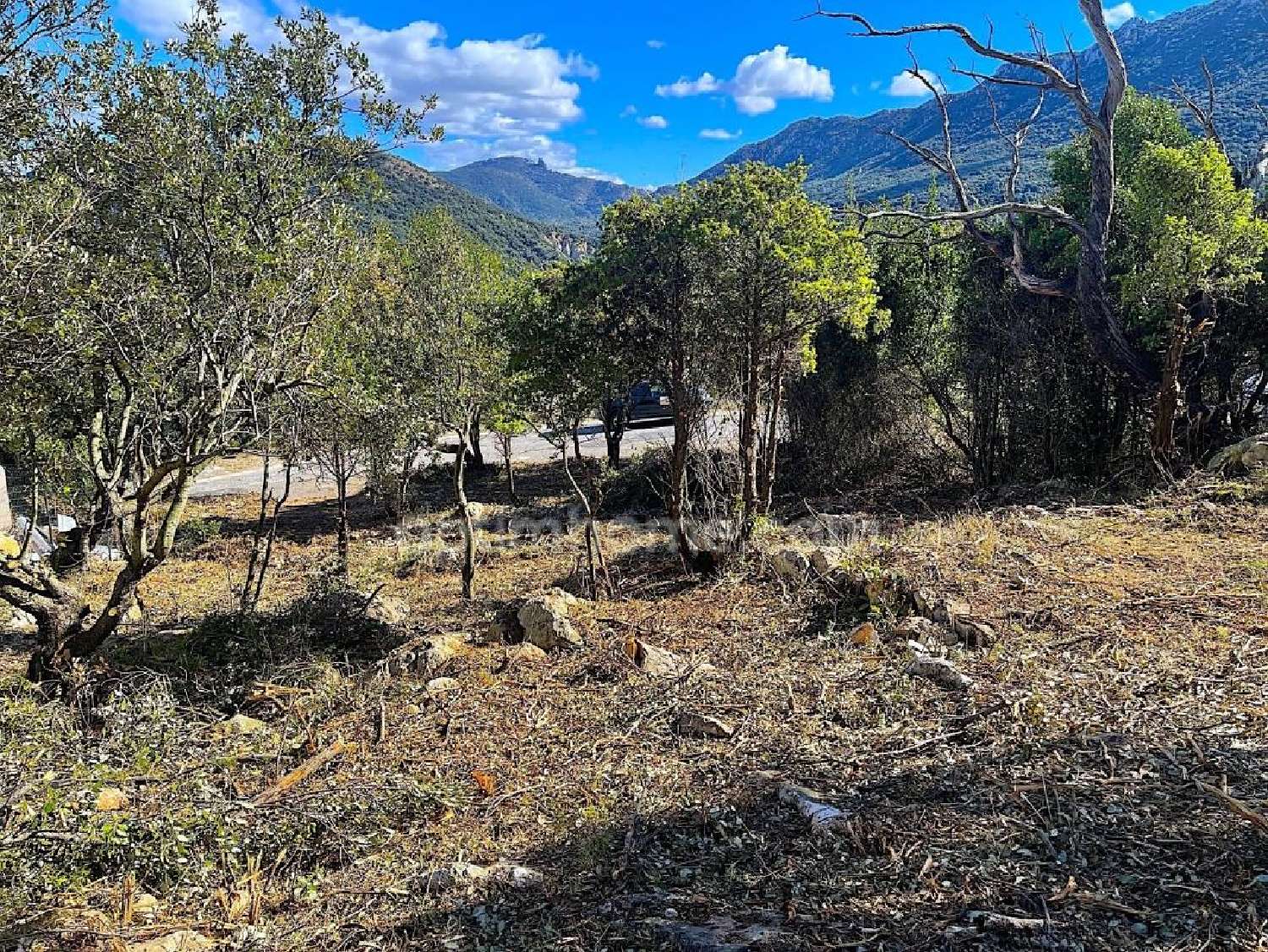 en venta terreno Rouffiac-des-Corbières Aude 5