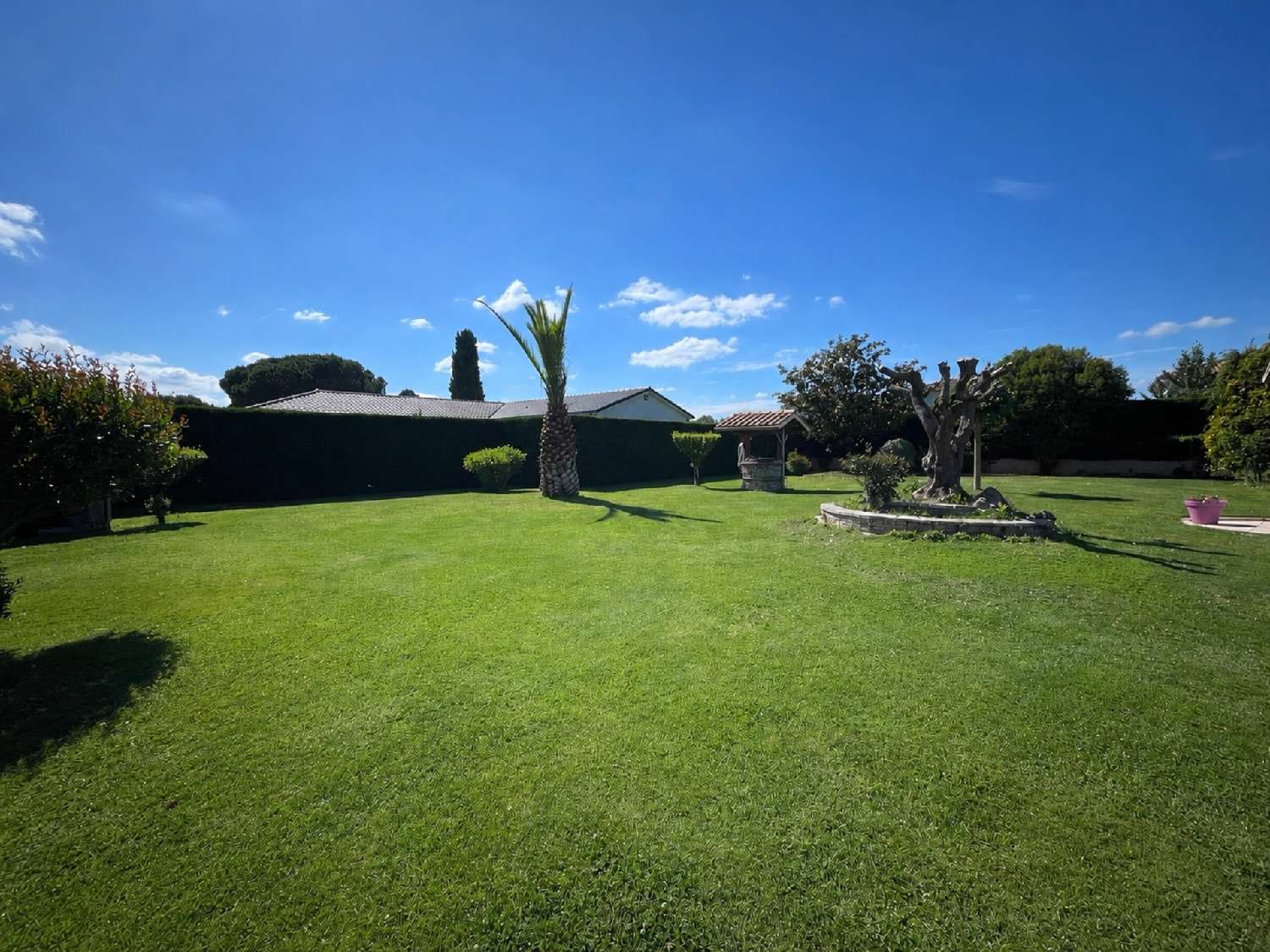  for sale terrain Saint-Alban Haute-Garonne 8
