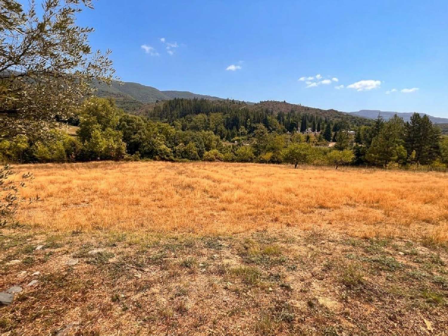  à vendre terrain Saint-Étienne-d'Albagnan Hérault 3