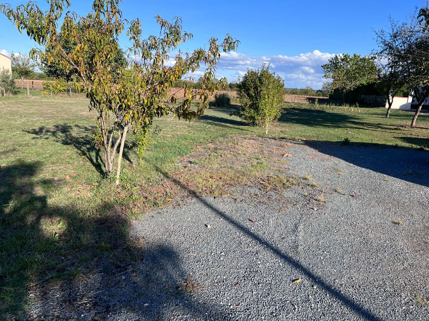  en venta terreno Saint-Georges-des-Côteaux Charente-Maritime 5
