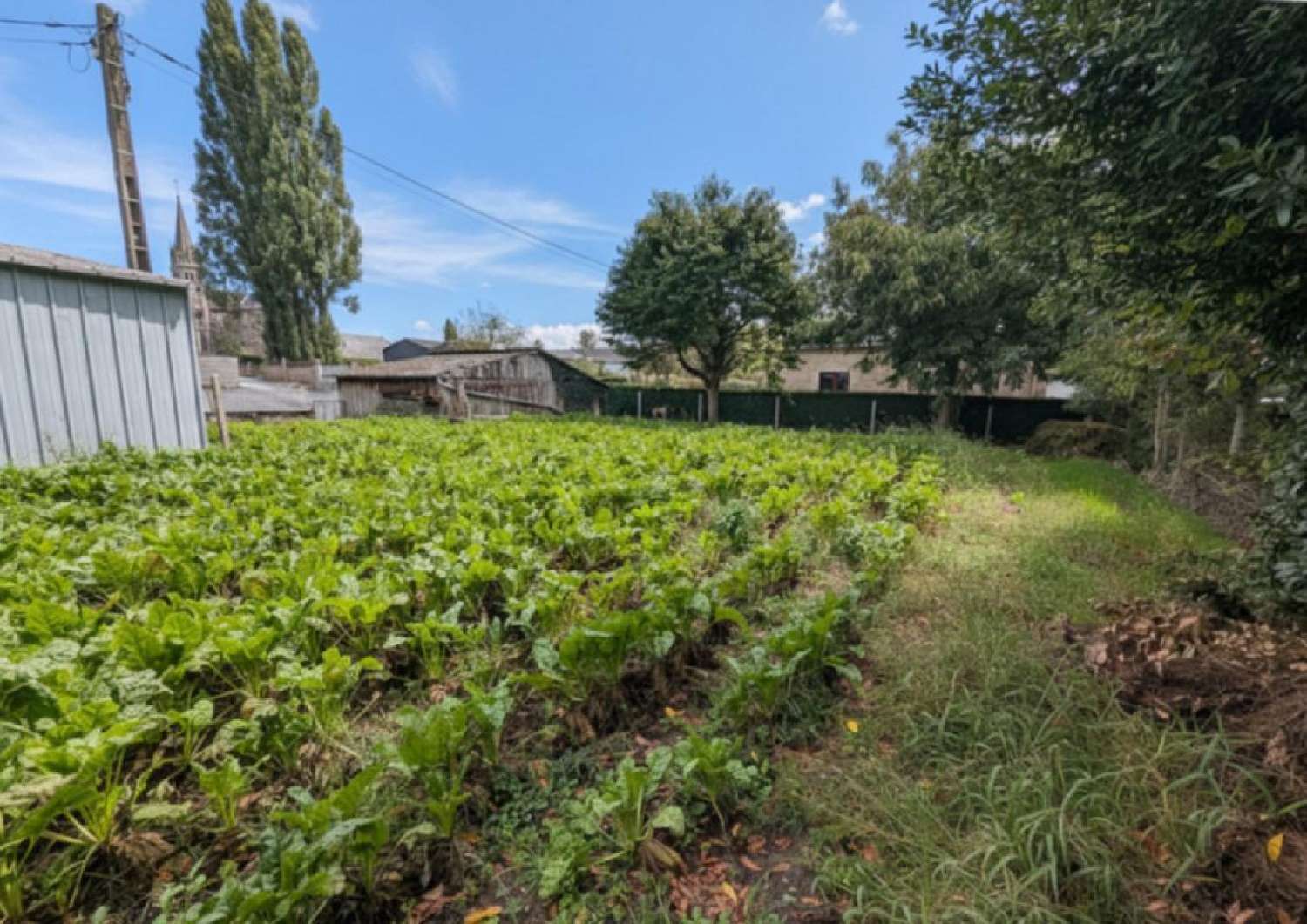 kaufen Grundstück Saint-Georges-de-Reintembault Ille-et-Vilaine 3