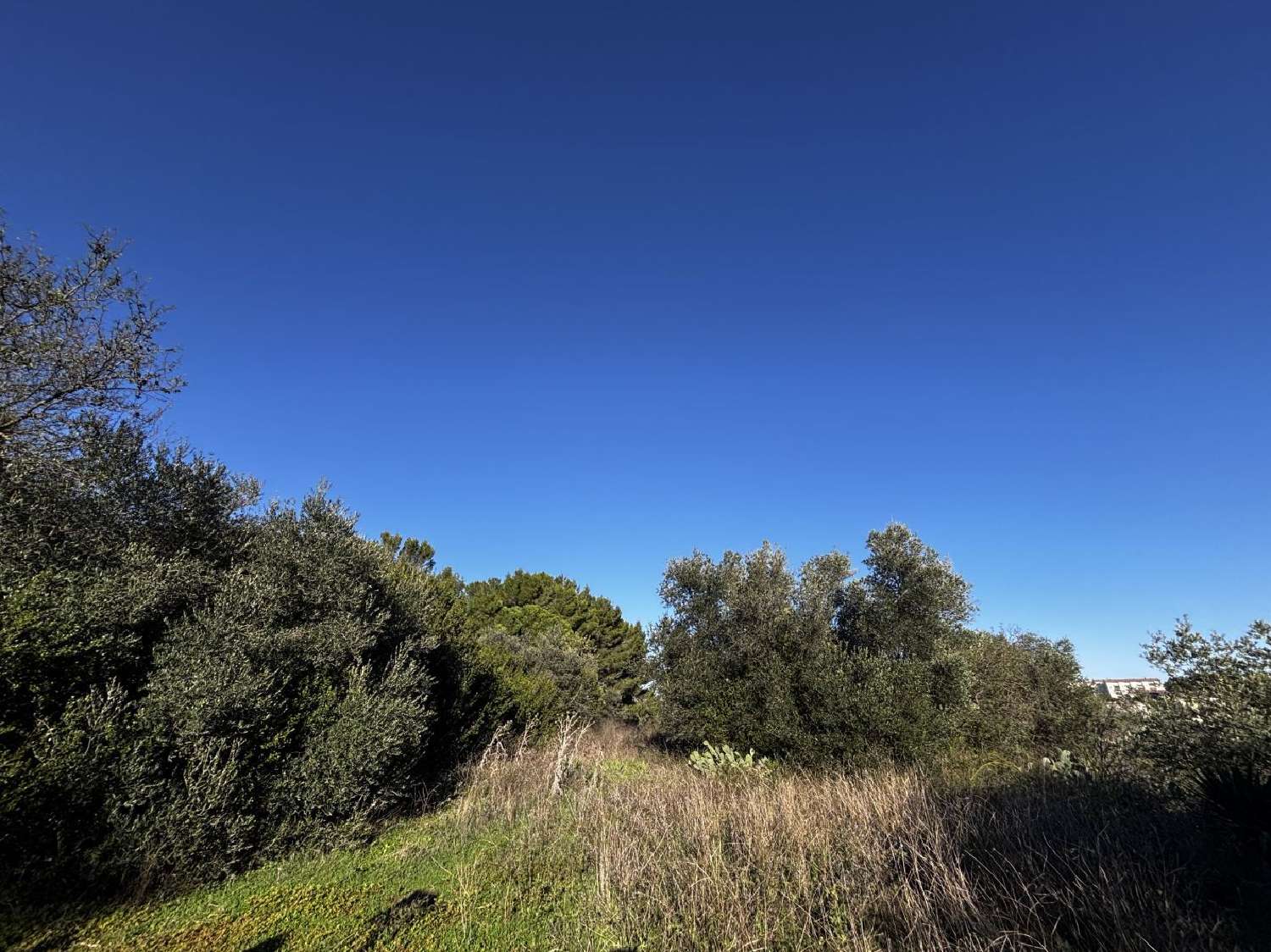 for sale terrain Saint-Gilles Gard 1